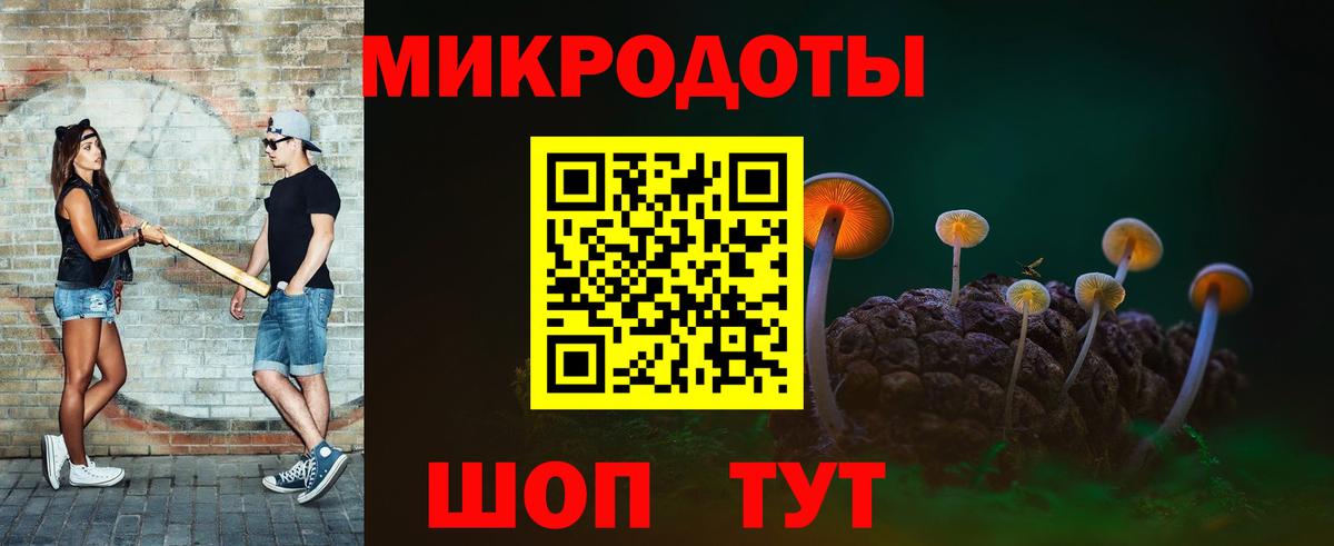 Сегежа  Псилоцибиновые грибы Psilocybine cubensis  Вход с VPN  Псилоцибиновые грибы мицелий 